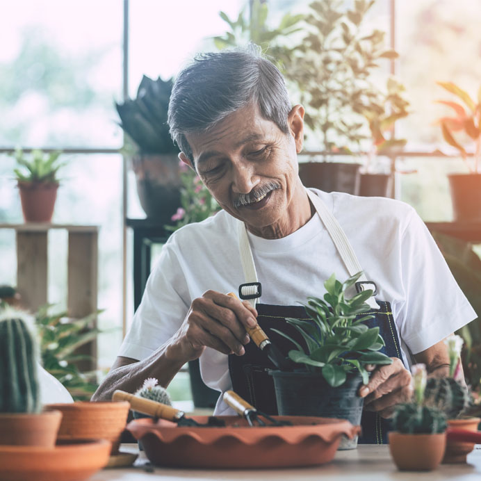 Elderly man gardening in green house